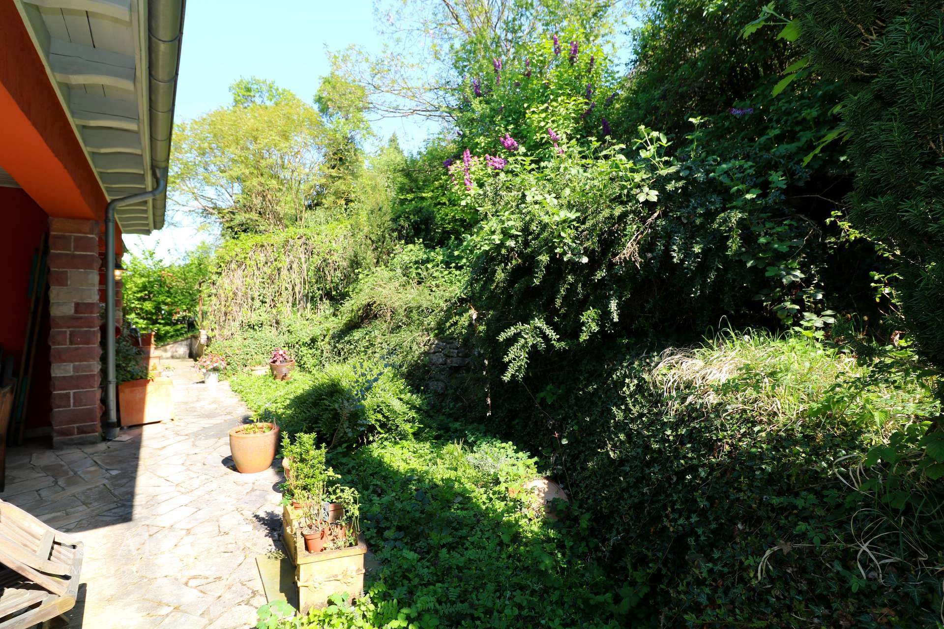 EG Garten hinter dem Haus